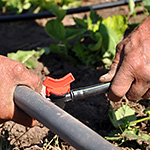 drip irrigation systems need agressive filtration to protect emitters from clogging