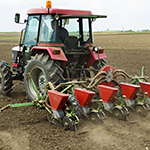 pumice can play a role in a wide variety of crop agriculture